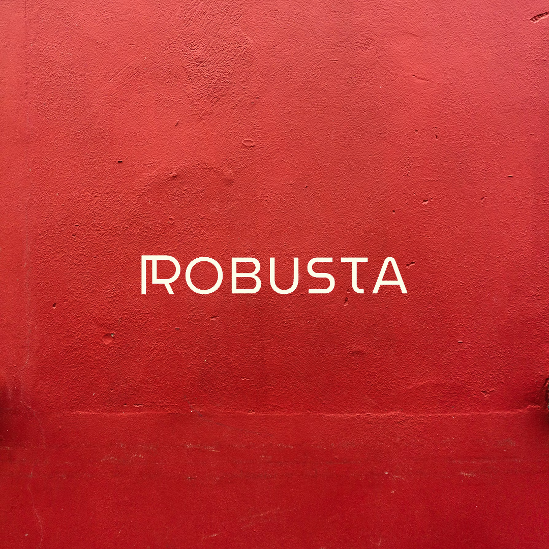 Robusta Studio logo